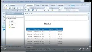 Set up preferences for the Rich Client interface_ SAP Business Objects Web Intelligence 4.0