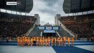 11. Spieltag | BSC - SGD | Schwarz-gelbe Flimmerkiste