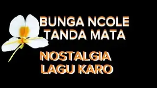 Lagu karo- bunga ncole tanda mata