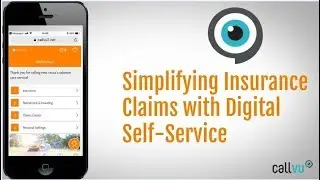 V-IVR Insurance