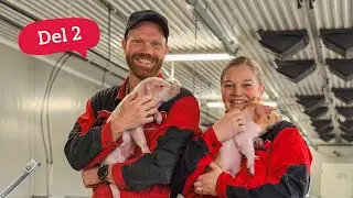 Smart teknologi for optimale drift hos Brede Bacon &ndash; Del 2