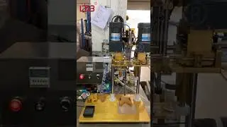 Semi auto capping machine
