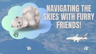 Navigating the Skies with Furry Friends! Unraveling Airline Policies for Pawsome Travel Adventures