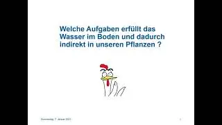 Bodenkunde: Bodenwasser & Bodenluft