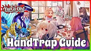 Yu-Gi-Oh! |Handtrap Guide| Schwachpunkte bei Lyrikliedervogel/Lyrilusc & Tri-Brigade richtig nutzen!