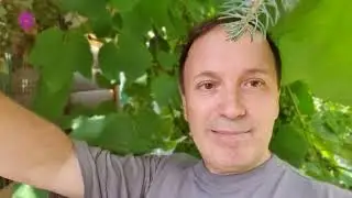 Дневник дачника часть 16