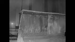 FAS Peregrine Falcon Cam