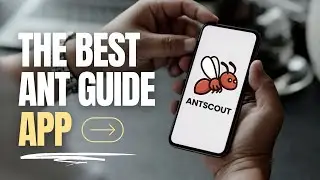Antscout Teaser | The New Way Of Catching Queen Ants