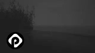 VOIDSHADE - Forgotten