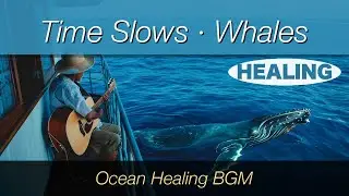 Ocean Where Time Slows Down | Healing Music with Whales