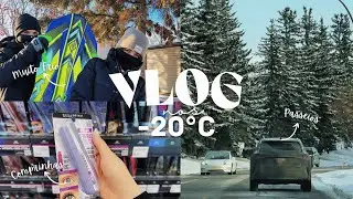 Como é viver no FRIO do CANADÁ? Comprinhas, DIVERSÃO e VENDA DE RECICLÁVEIS