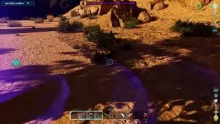 [ARK ASA PS5]皆の遊び場♪軽く作業☆