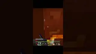 Nether pigs very dangerous?! Minecraft