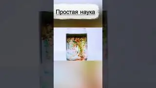 Простая наука#2 #simple #science #experiment #facts #shorts