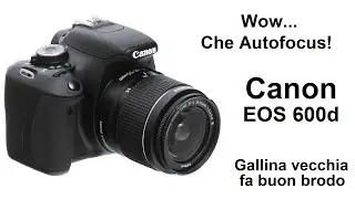 Wow! Che Autofocus! Canon 600d