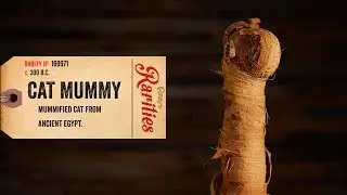 Unraveling Mummified Cats From Ancient Egypt