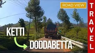 Ketti to Doddabetta Drive | Scenic Nilgiris Hill Road
