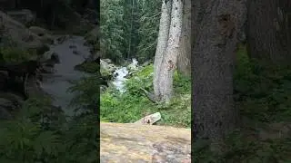 Taip Banda | Mankial | Swat Valley 😍