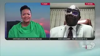 Hamadziripi unpacks voter verification glitches in Zim elections