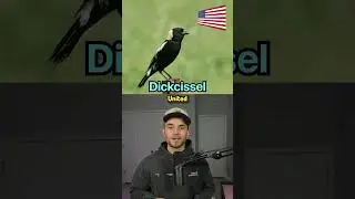 Words That Sound Bad But Aren&rsquo;t
