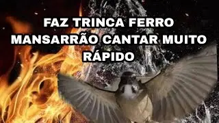 ESQUENTA TRINCA FERRO