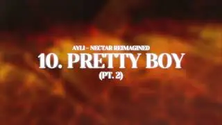 Nectar Reimagined - Pretty Boy Pt. 2