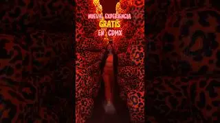 Experiencia inmersiva en cdmx. Registrate desde su p&aacute;gina web
