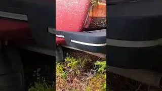 Abandoned Saab 99 starting for the First time in 20 years! #saab #99 #abandoned #abandonedcar