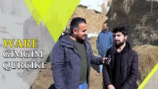 MA EWRO ŞARÊ XO SER Ê CÛNÎ DE QEFELNA!