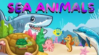 Sea Animals Vocabulary | English for Kids