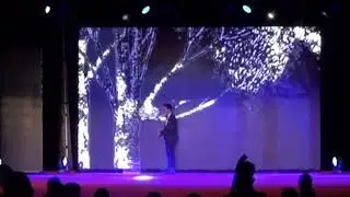 LED digital interactive show