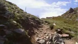 PsoGallinera.MP4