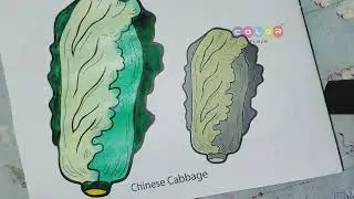 Chinese Cabbage Coloring. A Calming Color Therapy with Greens