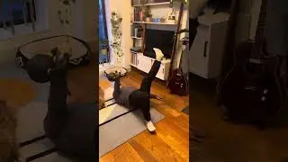 ASLR + shoulder rotations + bridge hold + leg extension