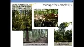 Developing adaptive silvicultural strategies in the context of climate change
