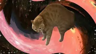 THE ELDER SCROLLS MEMES #12 | WHEN I DRANK A LOT OF SKOOMA
