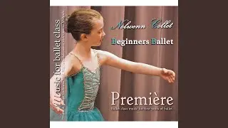Barre : Port De Bras (Short) - Silver Stars