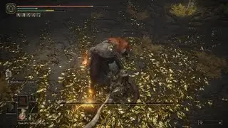 New player first time beating elden ring