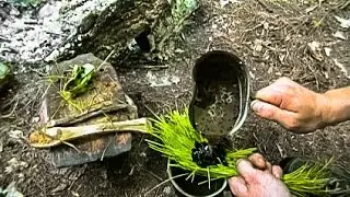 Bushcraft - Improvised Grass Filter | Self Reliance