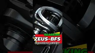 BEARKING: ZEUS-BFS CASTING REEL