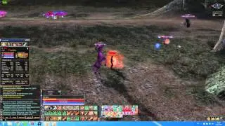Phoenix Knight Paladin Lineage 2 Interlude PK Fun