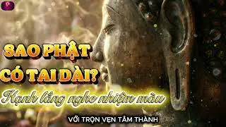 TẠI SAO Phật thường có đôi tai dài? Phật dạy ý nghĩa sự lắng nghe và thấu hiểu - Chánh Niệm Mỗi Ngày