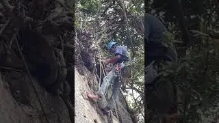 Cleaning tree anchors with a ghost knot (Equivocation Hitch)