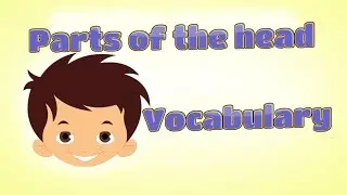 Parts of the head - Face Vocabulary