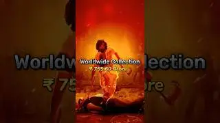Animal 13 Day Box Office Collection 💥 | Animal Movie #animal13collection #animal