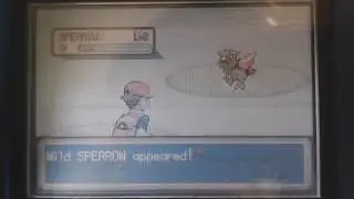 LIVE...? Shiny Spearow after only 862 Random Encounters! [FireRed]