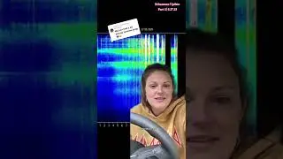 #schumannresonance  #shiftingrealities  #timelinejump #newbeginnings