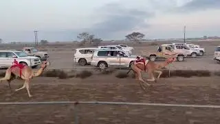 ميدان وهره١٧/٢/٢٠٢٤ شوط ٣
