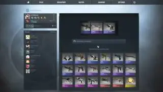 Chroma 3 Case