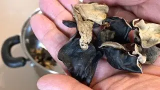 How to prepare black fungus